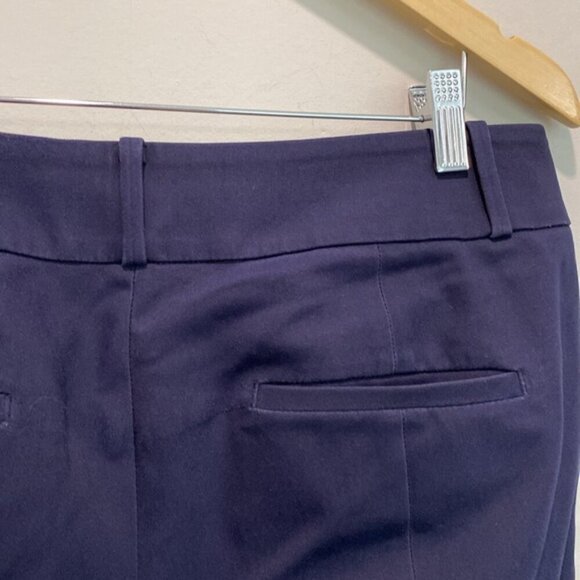 Ann Taylor Loft Blue Julie Skinny Ankle Pants Size 8 - Picture 11 of 15